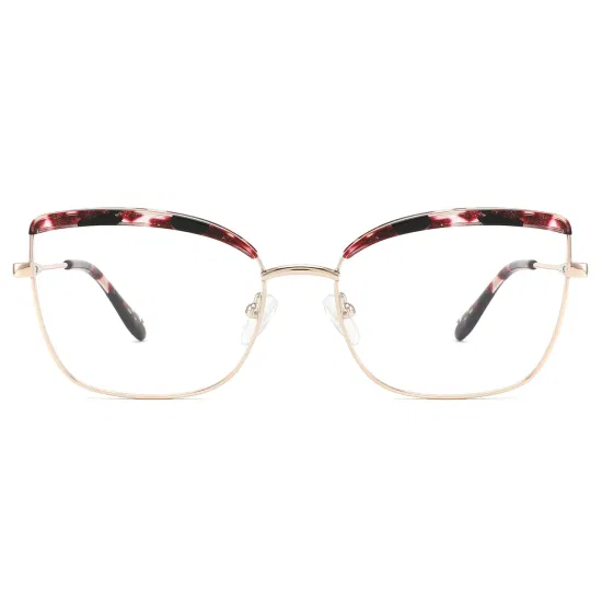 Brand Design Acetate with Metal for Men Women Optical Frames